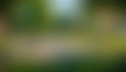 Why Location Still Matters: Choosing the Perfect Neighborhood