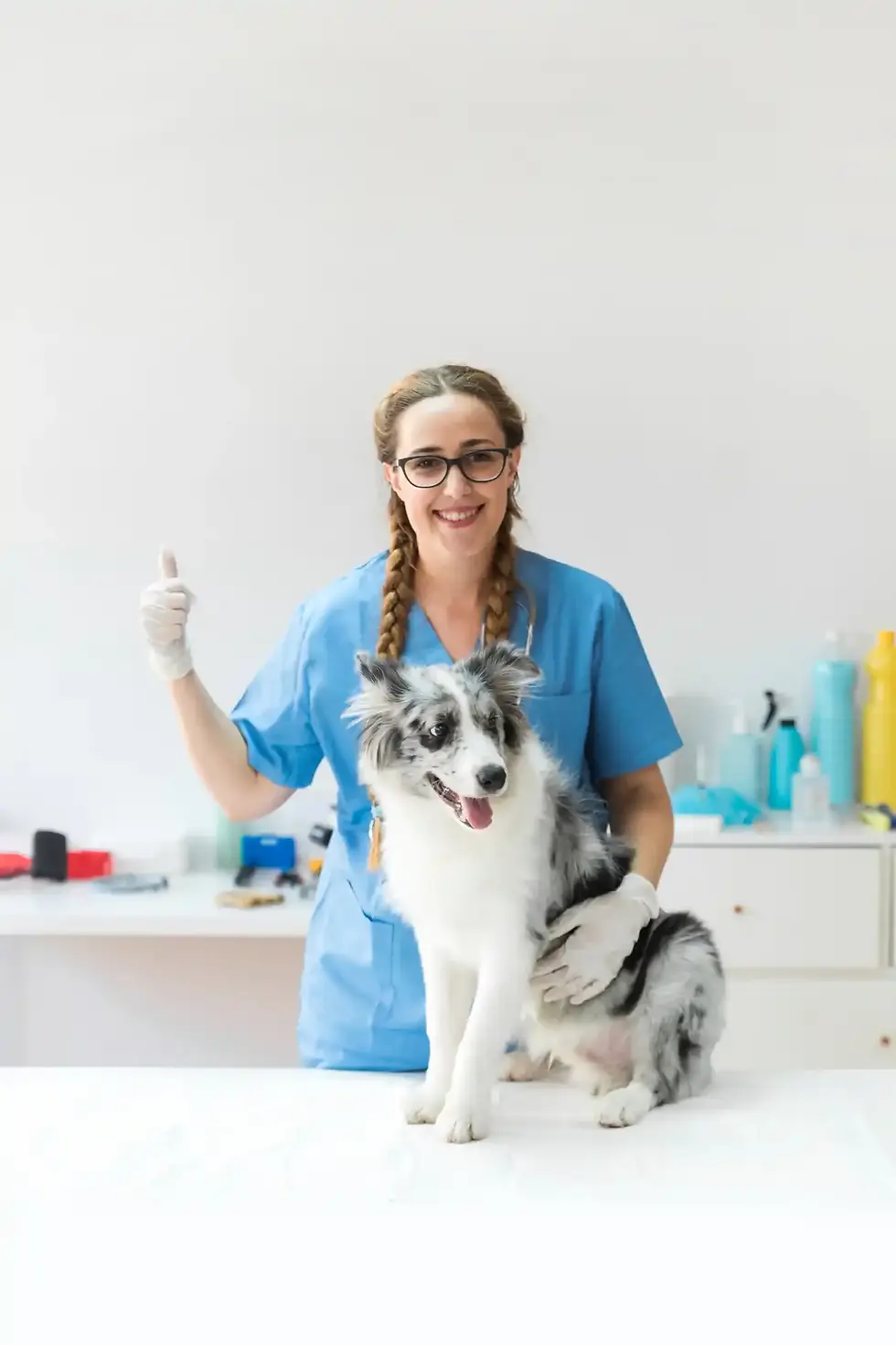 Smiling vet with Border Collie: PetCliniq