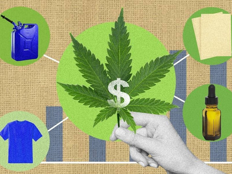 El valor del cannabis y sus derivados