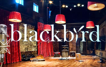 Blackbird Studio Logo.jpeg