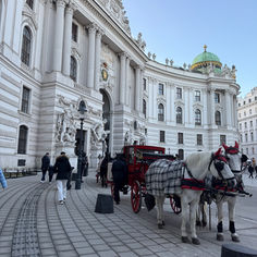 Organizzare un viaggio a Vienna: tutto quello che devi sapere