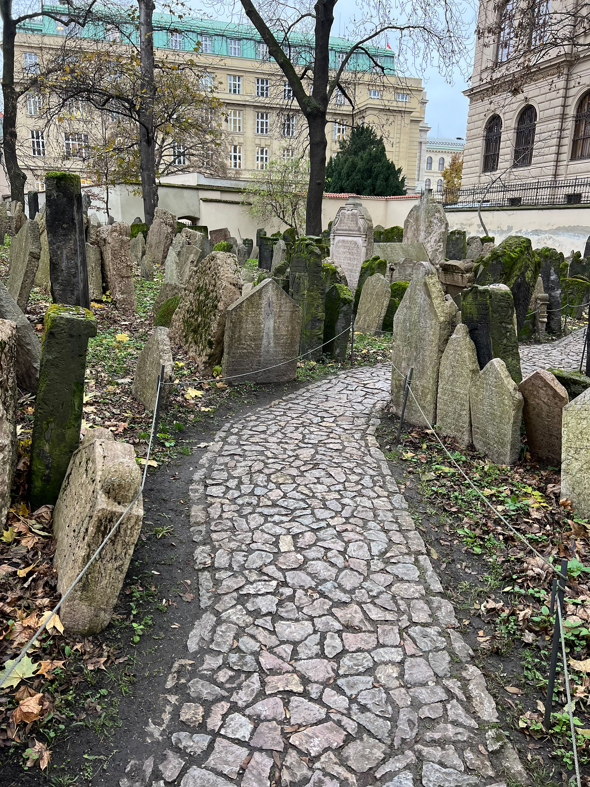 Antico Cimitero Ebraico, Museo Ebraico di Praga