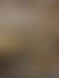 Staropolskie Trunkie, Cracovia