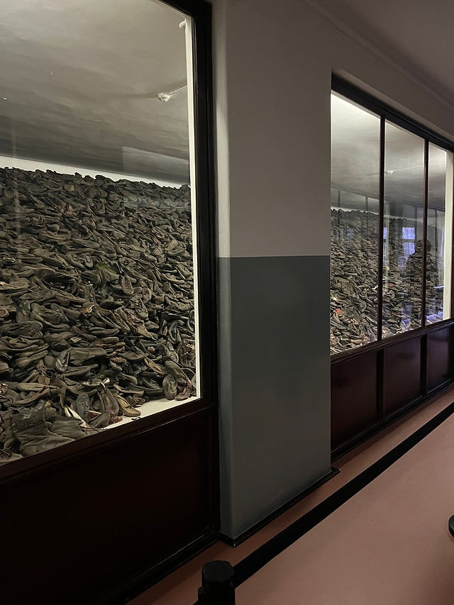 Visitare Auschwitz