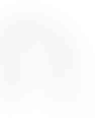 Vereda do Arieiro, Madeira