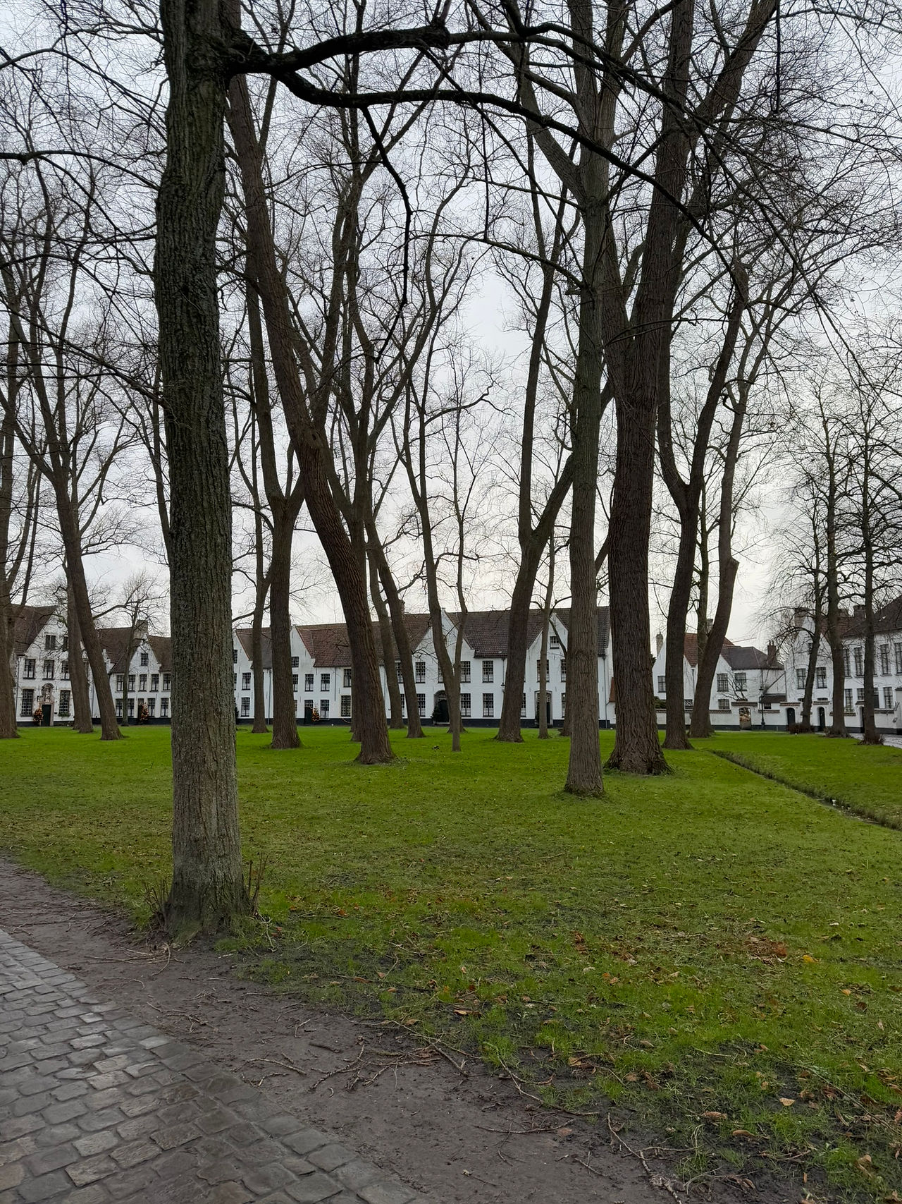 Beghinaggio di Bruges