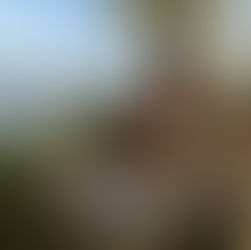 What and where to eat when in Gargano, Apulia