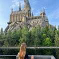 Guida di sopravvivenza per gli Universal Studios Japan