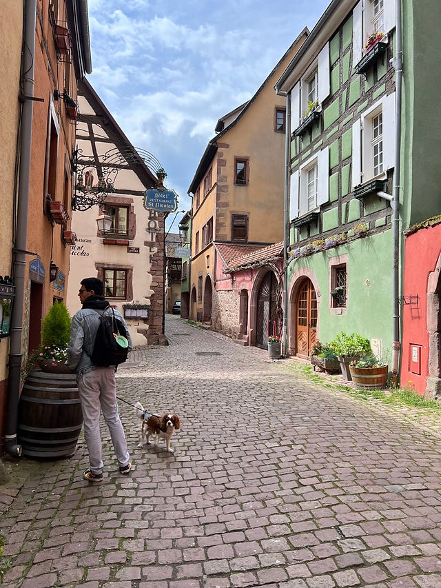 Riquewihr, Alsazia on the road