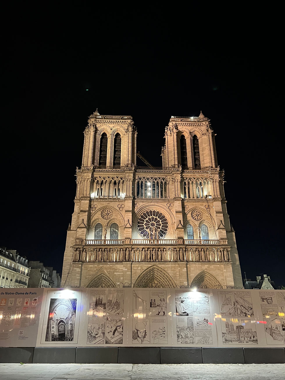 Notre Dame by night, Parigi, France
