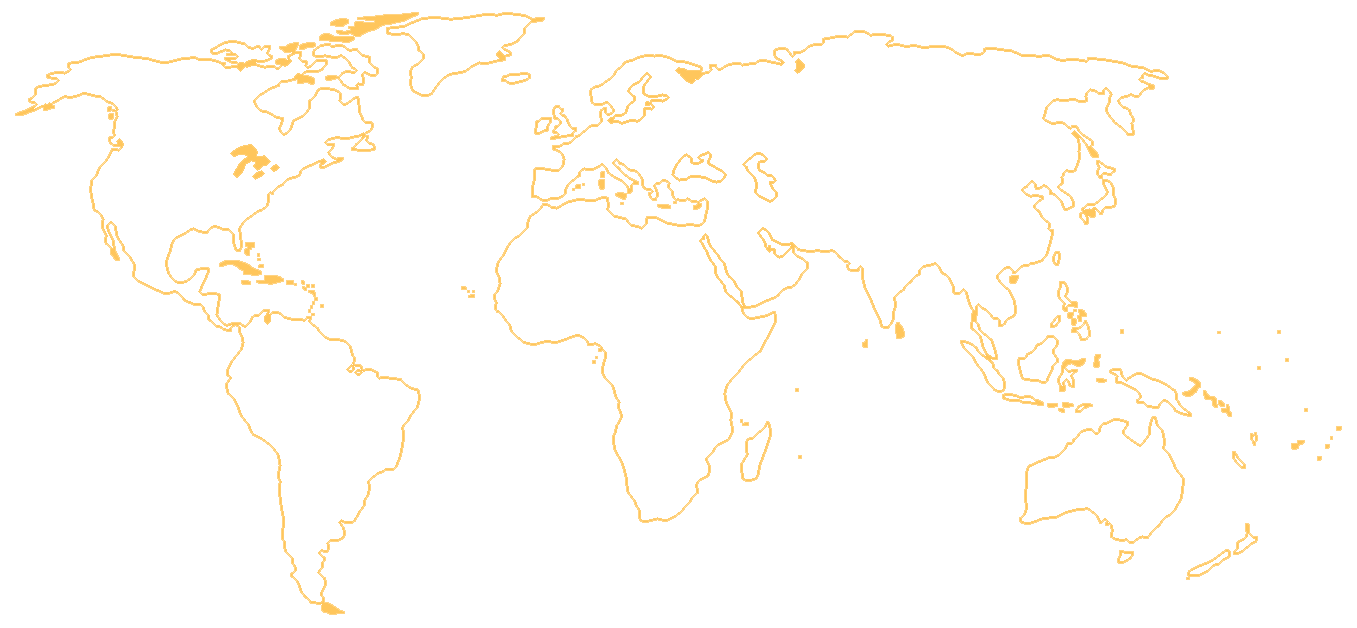 World_outline_map-Edit_Layer 1.gif