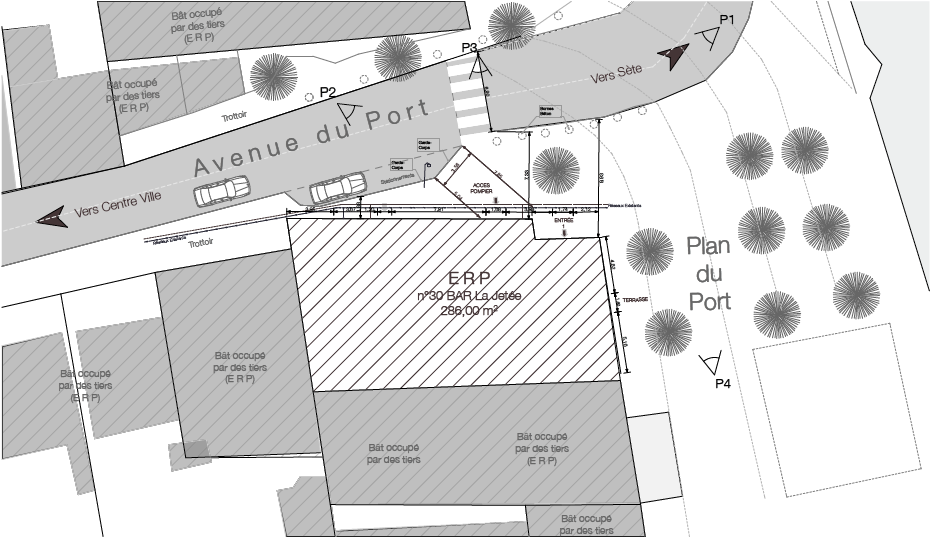 PLAN DE MASSE