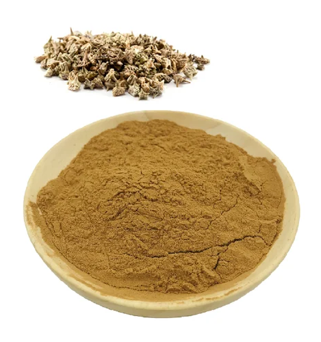 Tribulus Terrestis Powder (Tribulus terrestris L.)