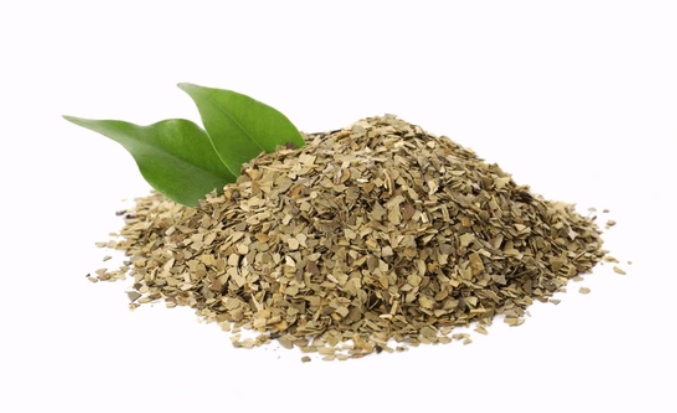 Yerba Mate' (Ilex paraguariensis)