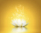 Silent Meditation