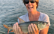Tigerfish