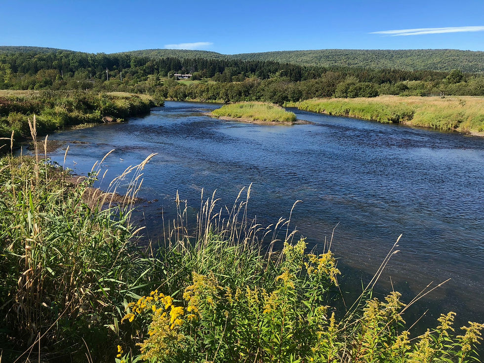 Thumbnail: Cape Breton - Nova Scotia - Deposit