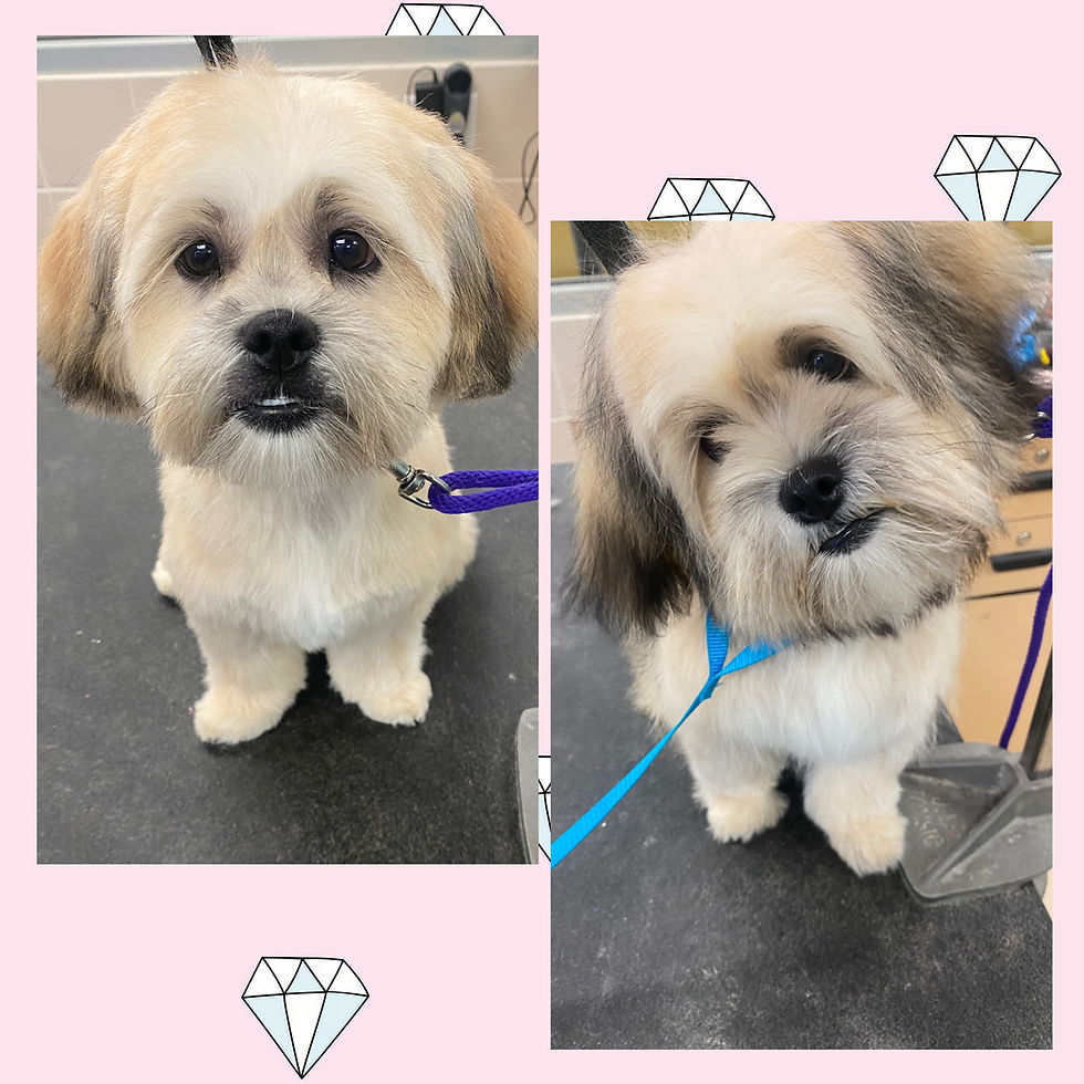 F15184EC-7F4A-427D-ABED-D92A48A72696