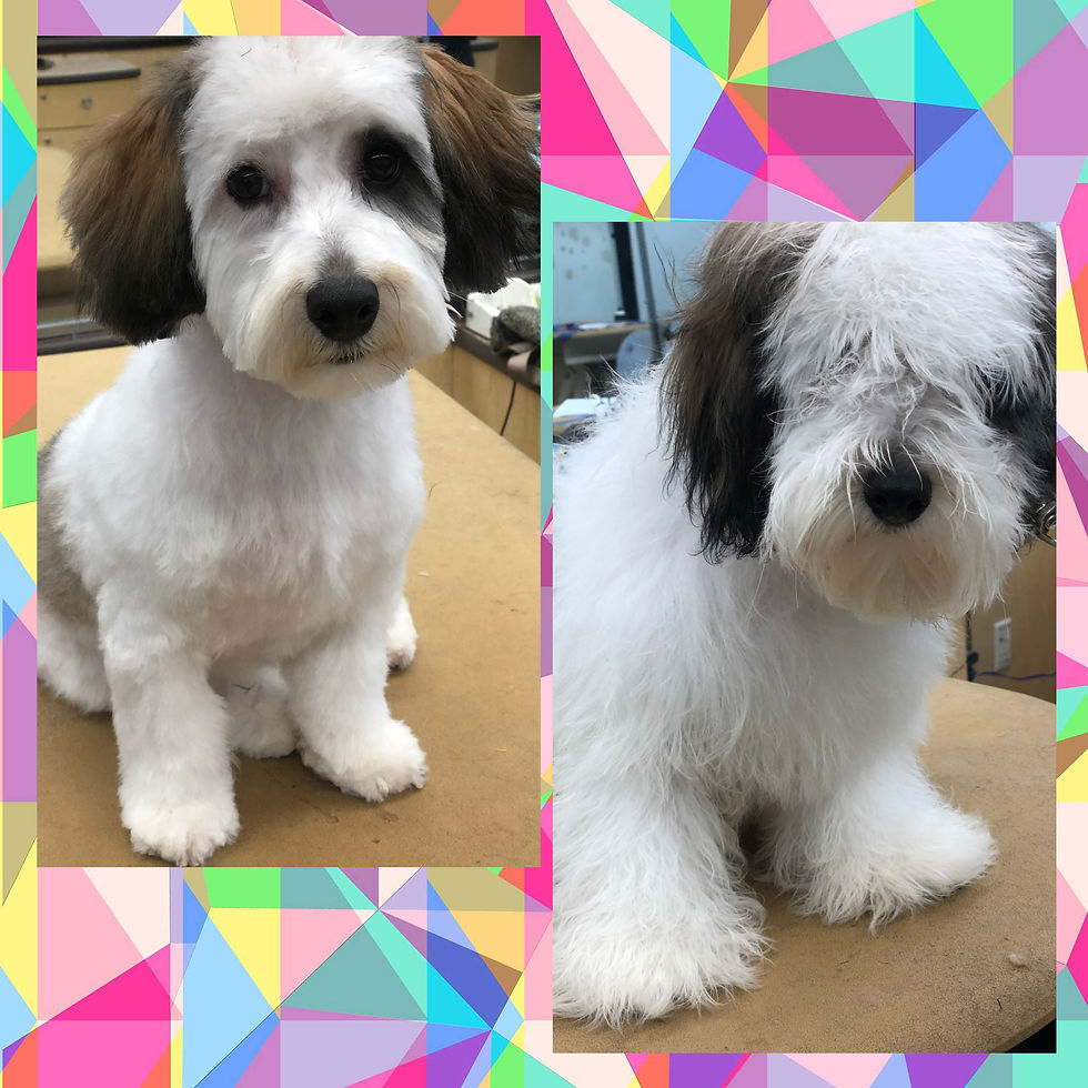 5BFC065E-B76B-40D0-94F4-8044E5D8A756