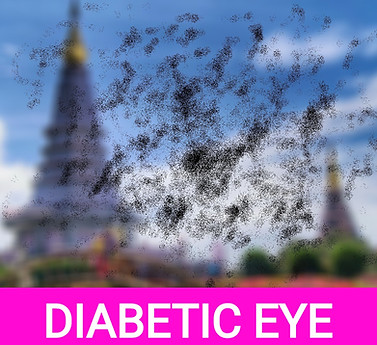 Twin_Pagodas_of_Doi_Inthanon (1)_edited_edited1_edited.jpg