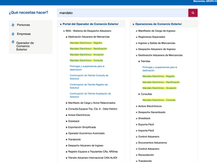 📦 Mandato Electrónico para Agencia de Aduana