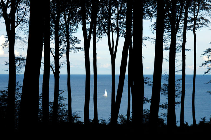 Little boat sailing alone in waters of Rügen in Germany