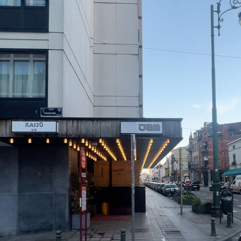 24 Hours in Brussels The Ultimate Guide