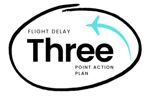 FLIGHT DELAY GUIDE: What to do if your flight is delayed