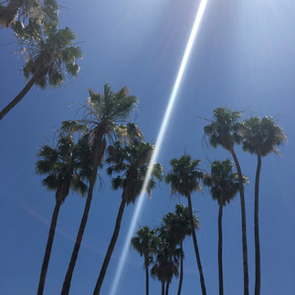 Hotel Review: The Saguaro Palm Springs