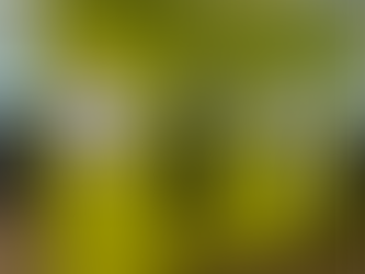 Napcabs at Munich Airport Review: Sleeping Pods in Terminal 1 & 2 Was It Gut, Ja?