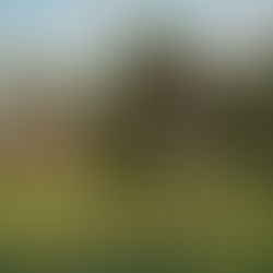 Life, Death, or Something in Between?