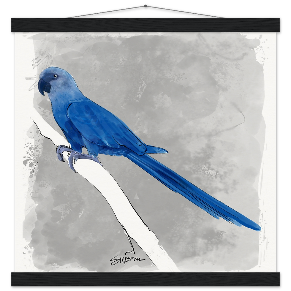 Thumbnail: Bird art posters feature original drawings of beautiful rare birds.