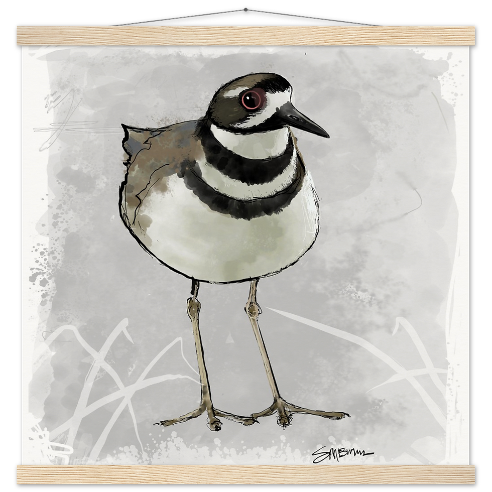 Thumbnail: Bird art posters feature original drawings of beautiful birds.