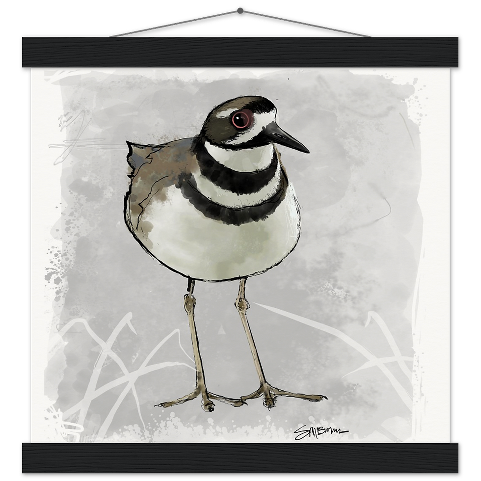 Thumbnail: Bird art posters feature original drawings of beautiful birds.