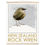 Thumbnail: Bird art posters feature original drawings of beautiful rare birds. A great gift for bird lovers.