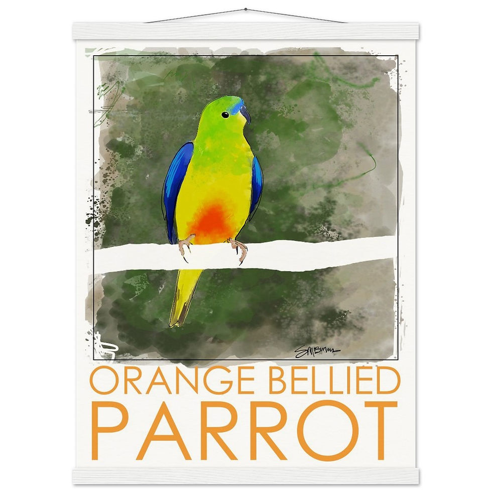 Thumbnail: Bird art posters feature original drawings of rare birds.