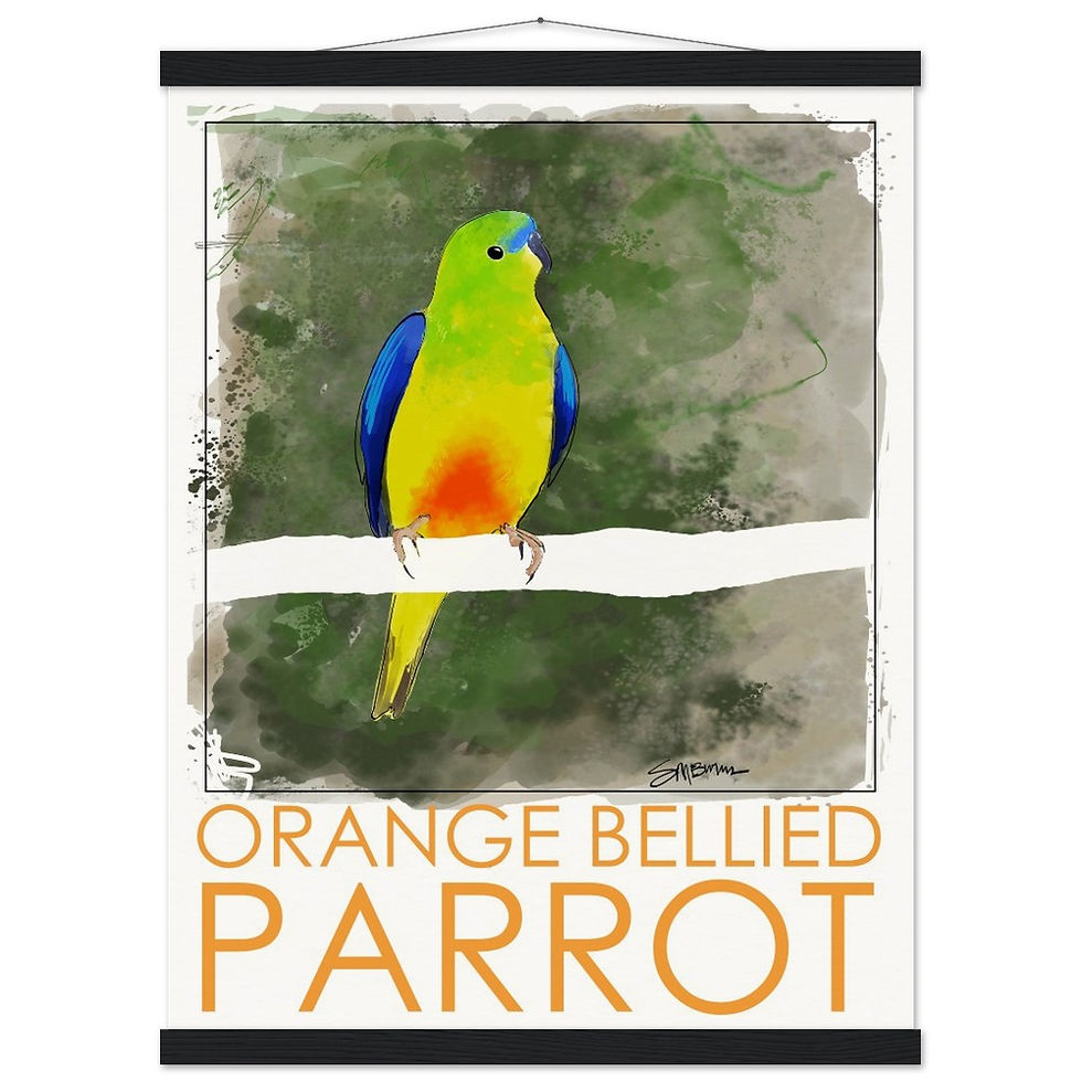 Thumbnail: Bird art posters feature original drawings of rare birds.