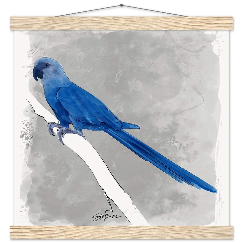 Thumbnail: Bird art posters feature original drawings of beautiful rare birds.