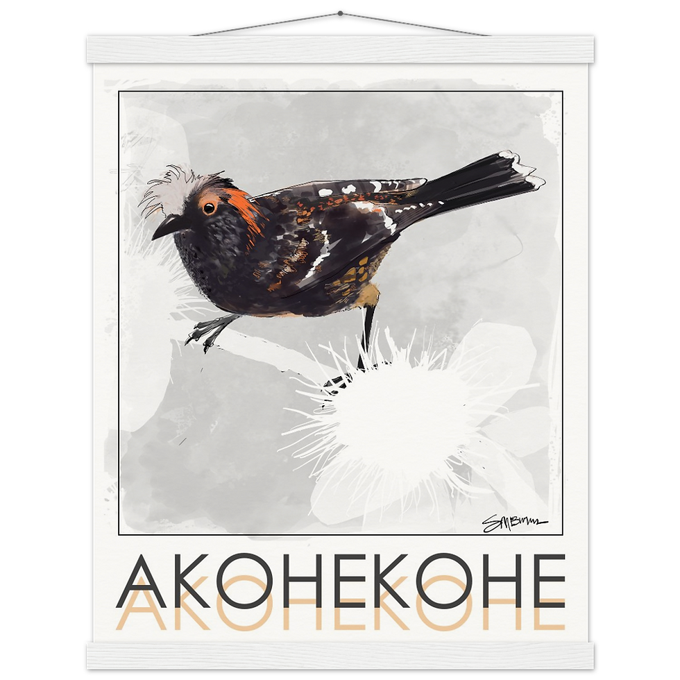 Thumbnail: Bird art posters feature original drawings of rare birds.