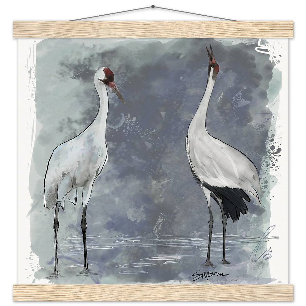 Thumbnail: Bird art posters feature original drawings of the whooping crane