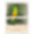 Thumbnail: Bird art posters feature original drawings of rare birds.