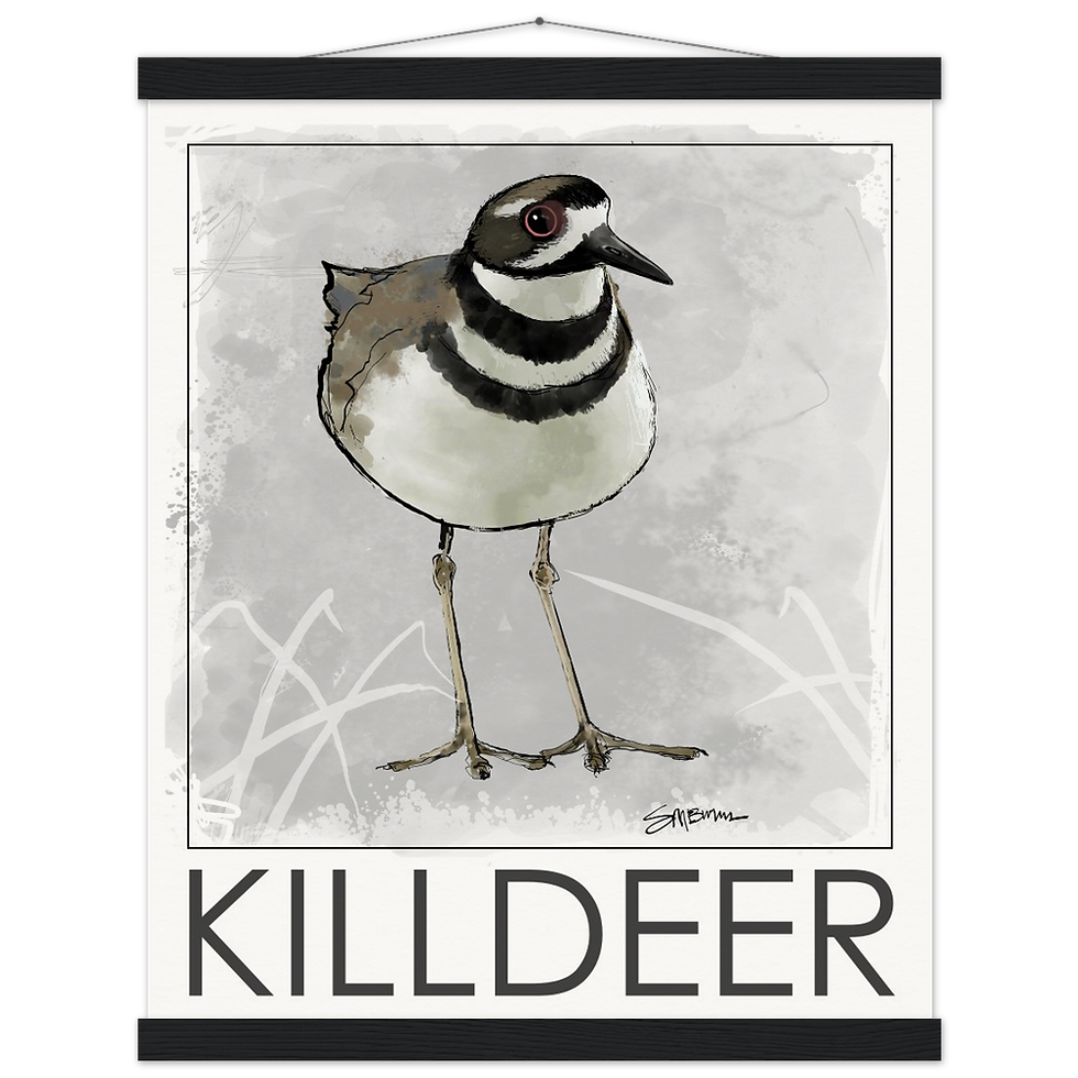 Thumbnail: Bird art posters feature original drawings of beautiful birds.