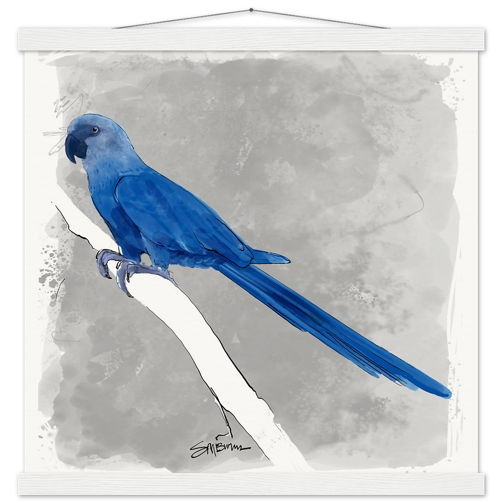 Thumbnail: Bird art posters feature original drawings of beautiful rare birds.