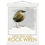 Thumbnail: Bird art posters feature original drawings of beautiful rare birds. A great gift for bird lovers.