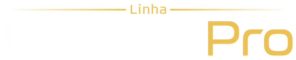 logo-linharemanupro-invictusamortecedores-remanupro-remanufaturados.png