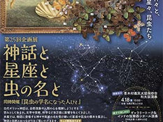🌸春のイベントガイド　前編