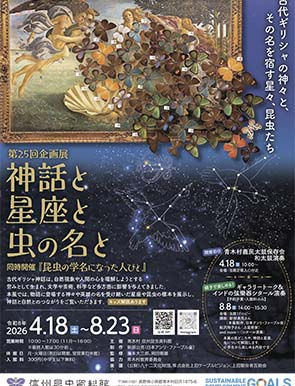 🌸春のイベントガイド　前編