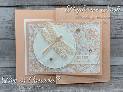 Dragonfly Garden for a Friend