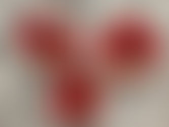 3D Project: Poppy Magnets