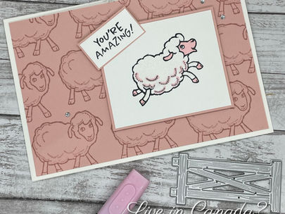 Amazing Pink Sheep